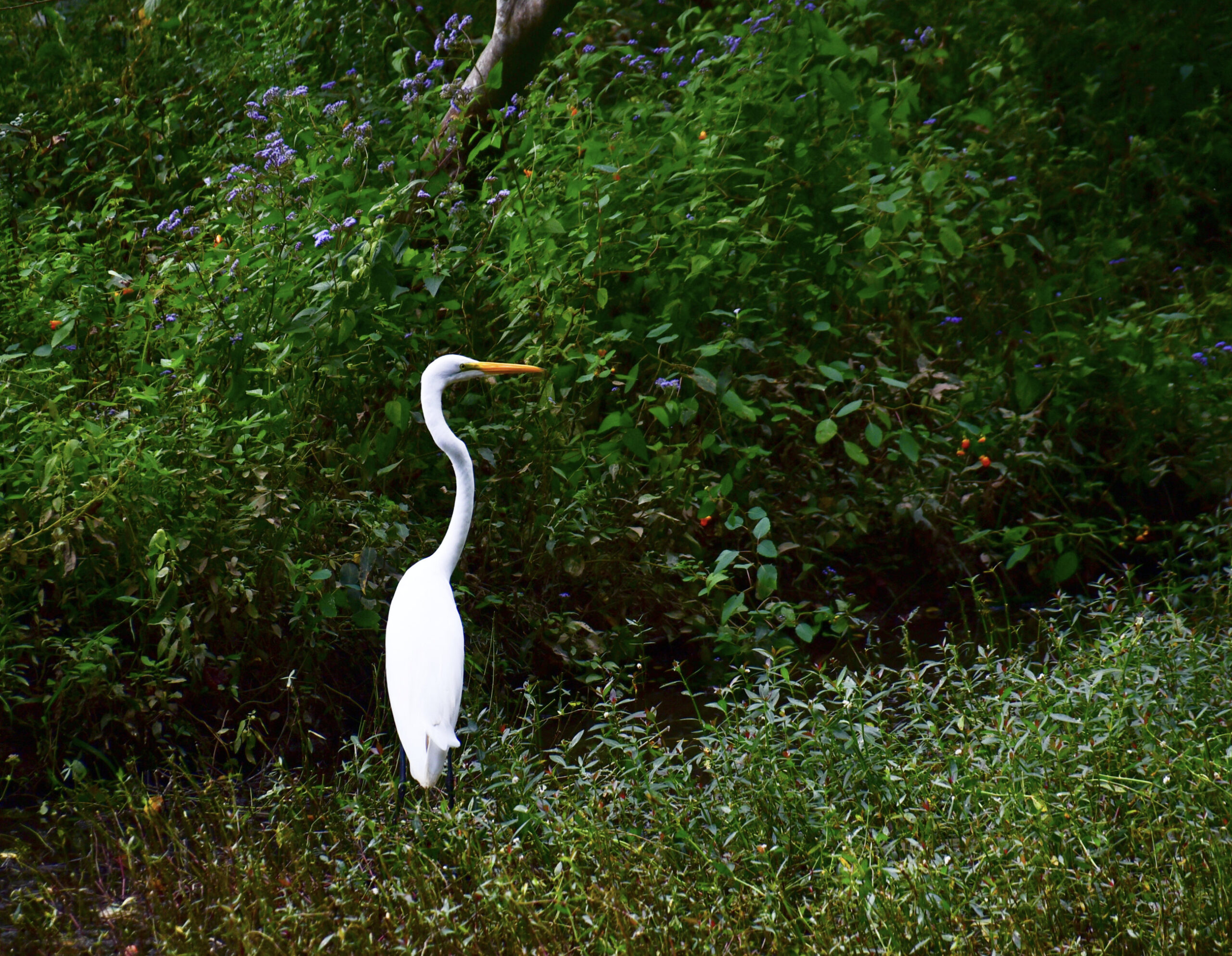 You look lost, there,  friend…