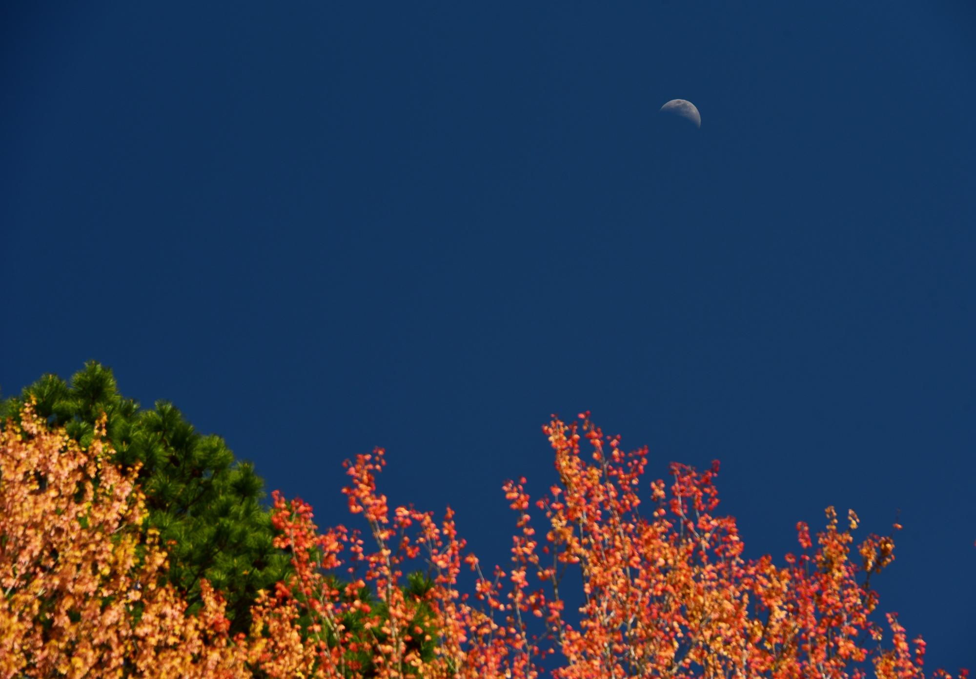 Good aftermoon, ole friend Good aftermoon, ole friend